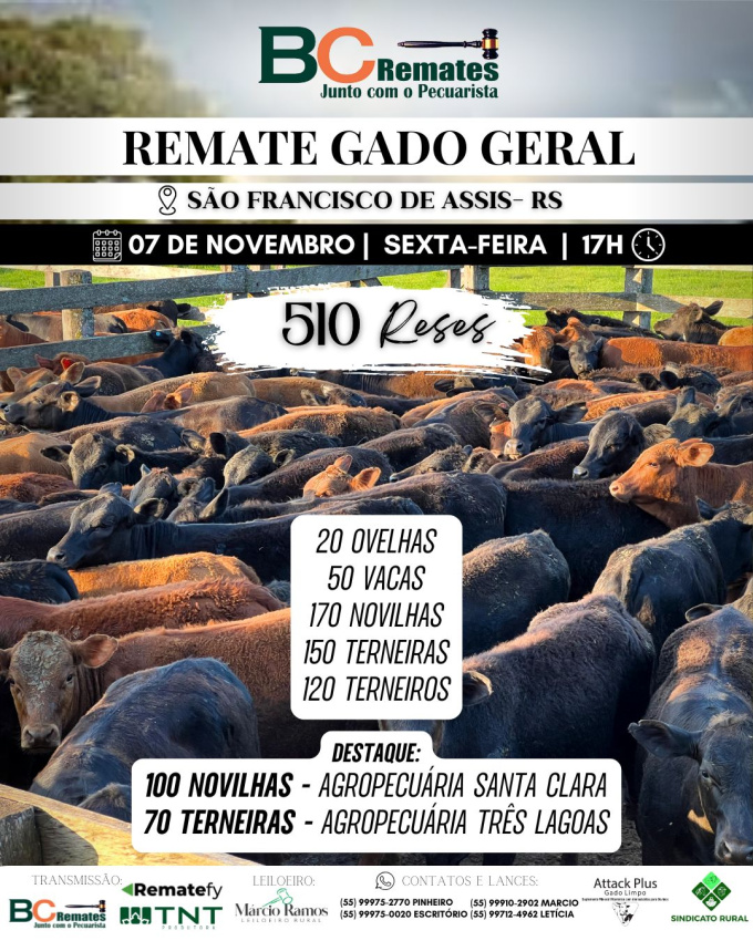 Remate Gado Geral