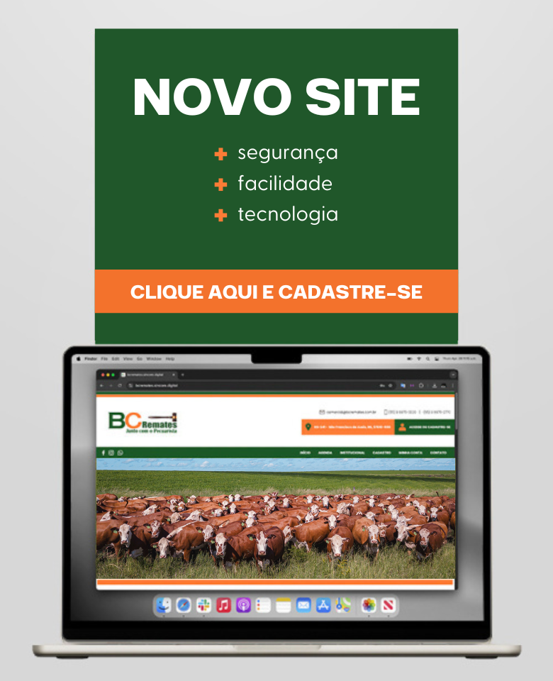 Novo Site