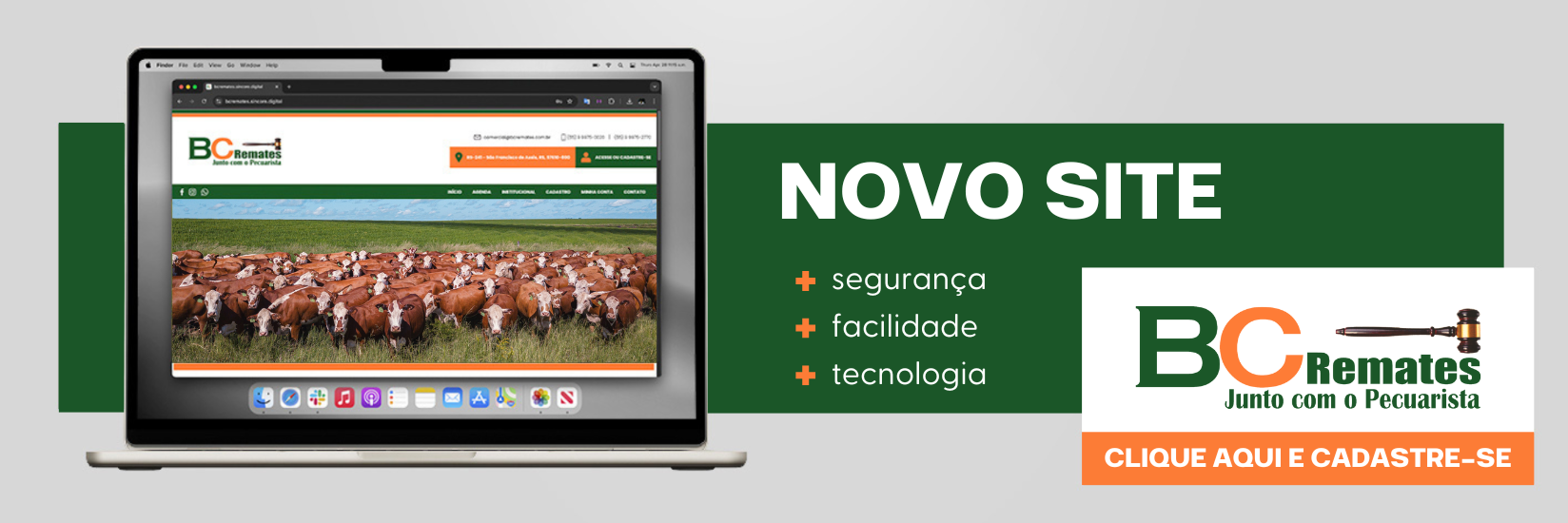 Novo Site