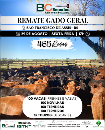 Remate Gado Geral