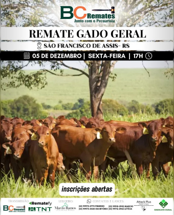 Remate Gado Geral