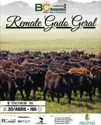 Feira de Terneiros, Terneiras e Vaquilhonas