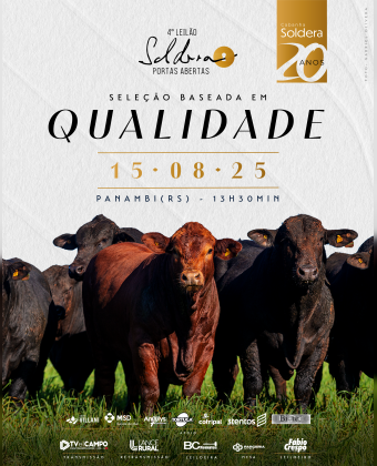 4º Leilão Soldera - Portas Abertas