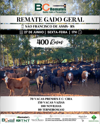 Remate Gado Geral