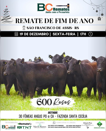 Remate de Fim de Ano 