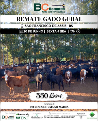 Remate Gado Geral