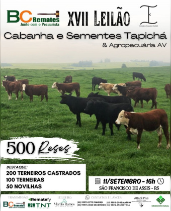 XVII Leilão Cabanha e Sementes Tapicha