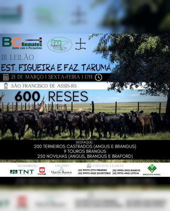 III Leilão Estância Figueira e Fazenda Tarumã