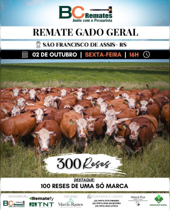 Remate Gado Geral