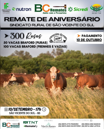 Remate de Aniversário