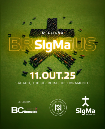 6º Leilão Sigma Brangus