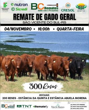 Remate Gado Geral