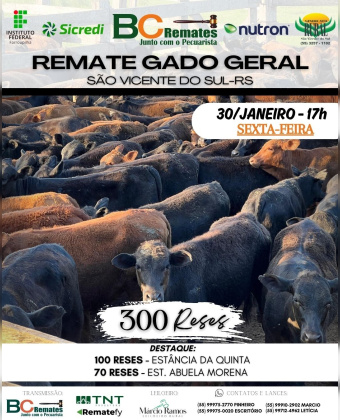 Remate Gado Geral
