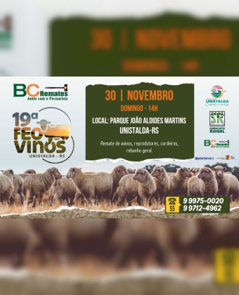 19ª FEOVINOS