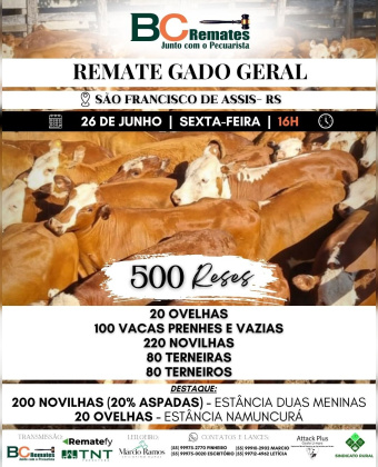 Remate Gado Geral
