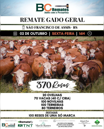 Remate Gado Geral