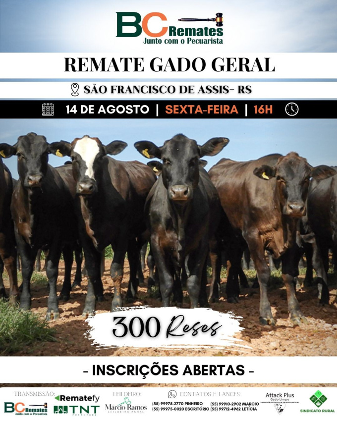 Remate Gado Geral