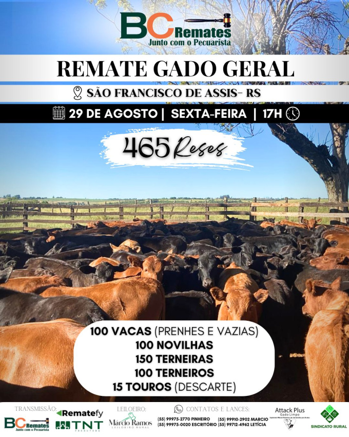 Remate Gado Geral