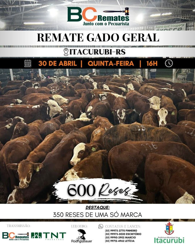 Feira de Terneiros, Terneiras e Vaquilhonas