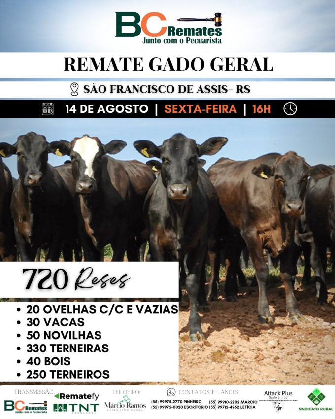 Remate Gado Geral
