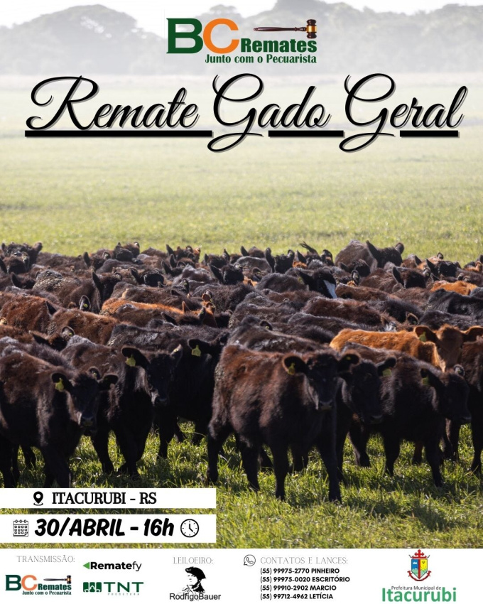 Feira de Terneiros, Terneiras e Vaquilhonas