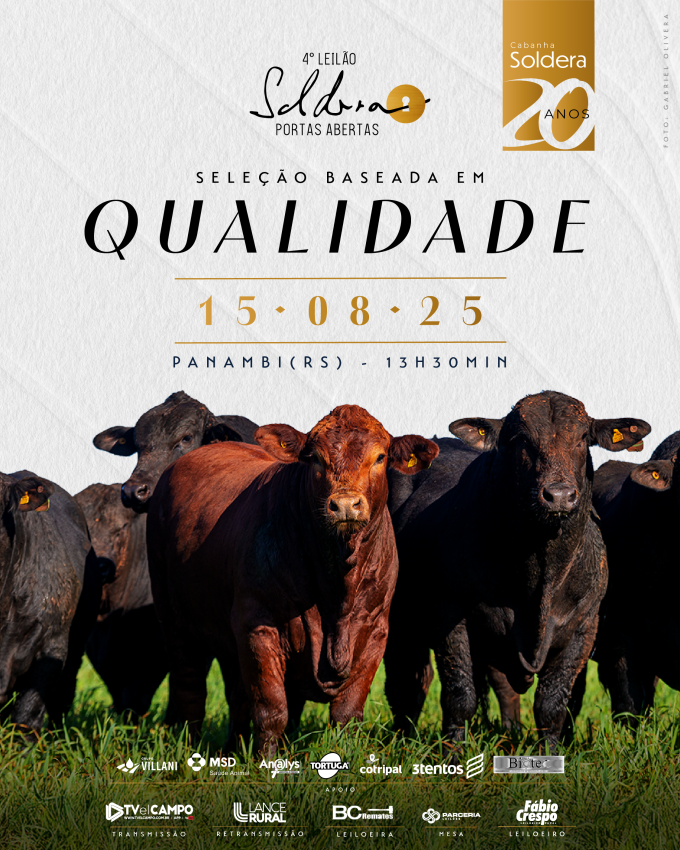 4º Leilão Soldera - Portas Abertas