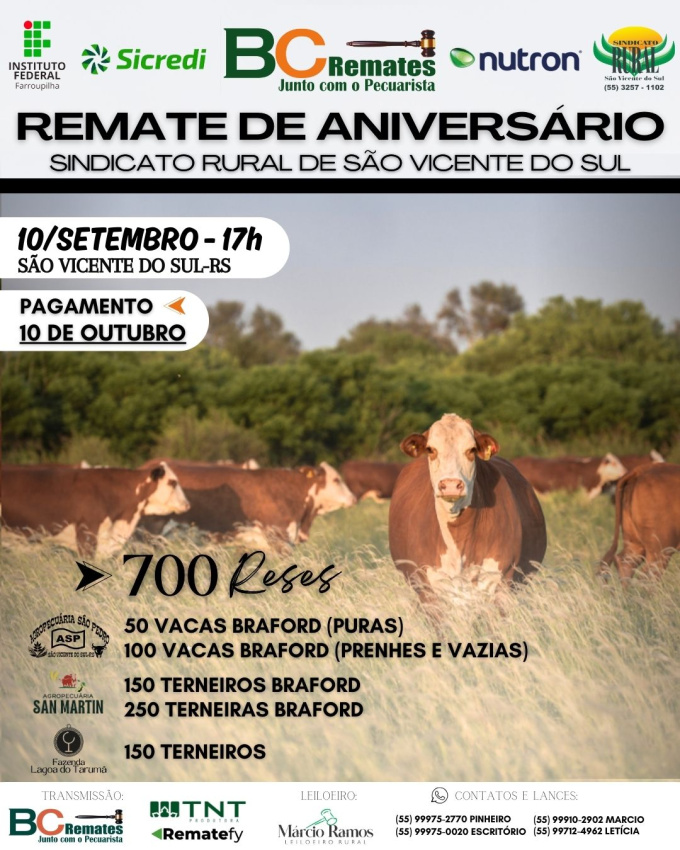 Remate de Aniversário