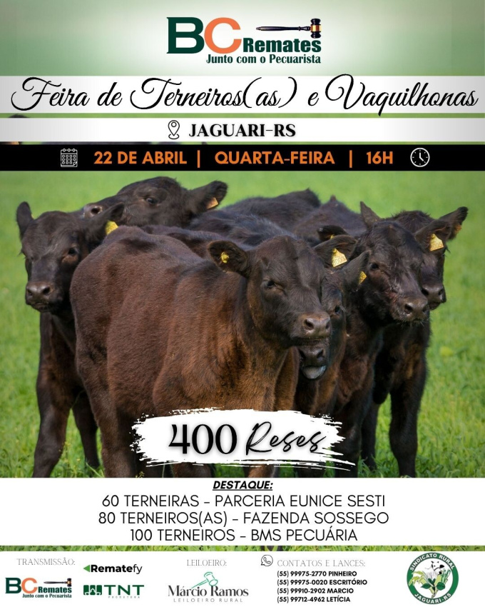 Feira de Terneiros, Terneiras e Vaquilhonas