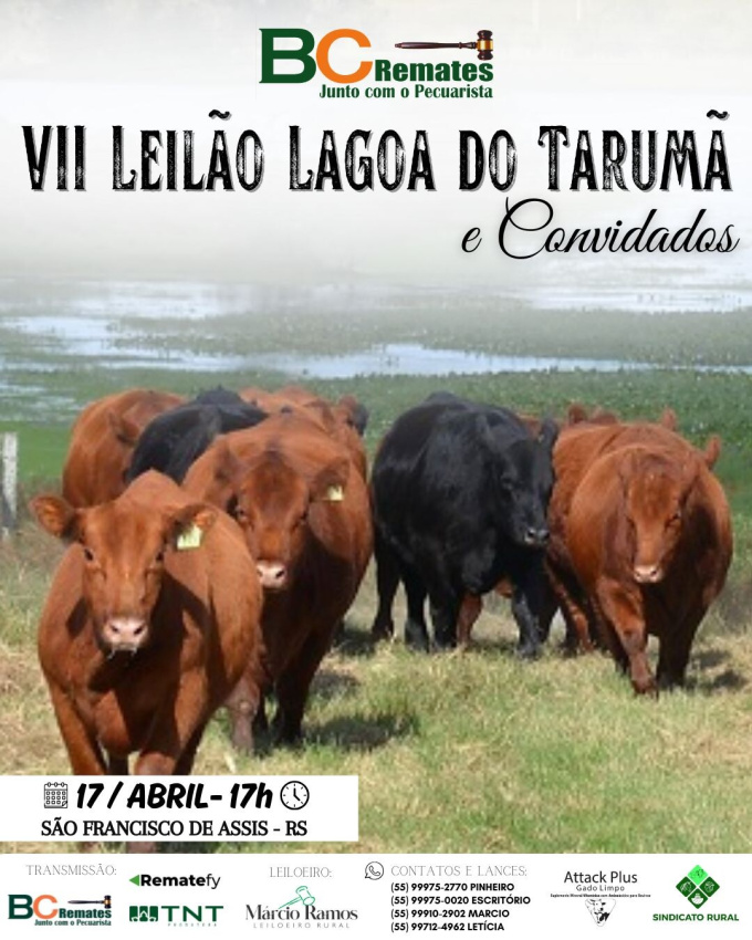 VII Leilão Lagoa do Tarumã e Convidados