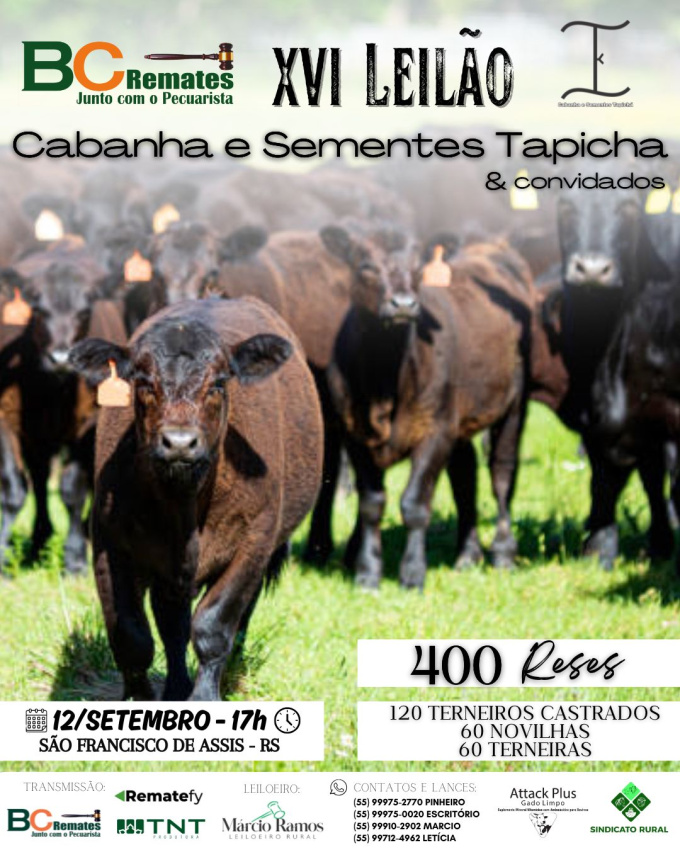 XVI Leilão Cabanha e Sementes Tapicha