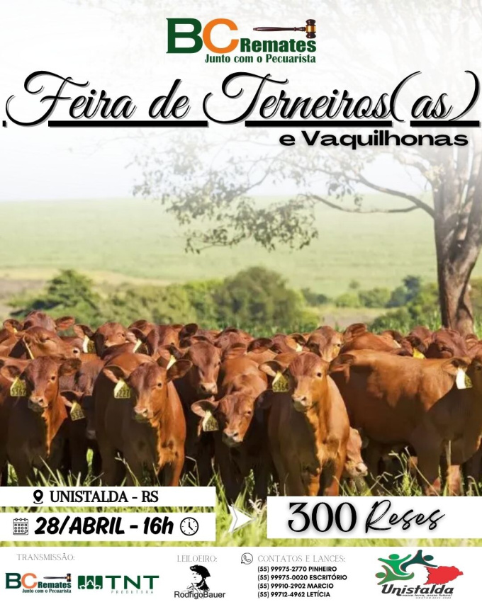 Feira de Terneiros, Terneiras e Vaquilhonas