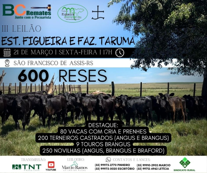 III Leilão Estância Figueira e Fazenda Tarumã