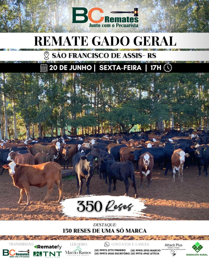 Remate Gado Geral