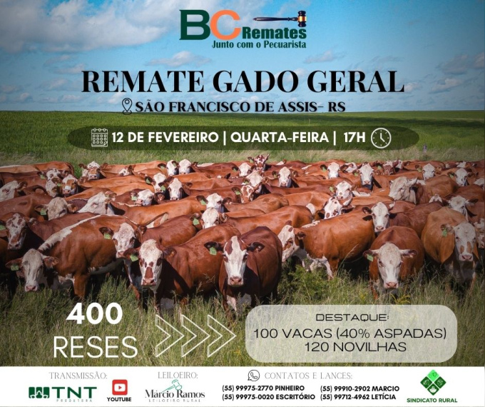 Remate Gado Geral