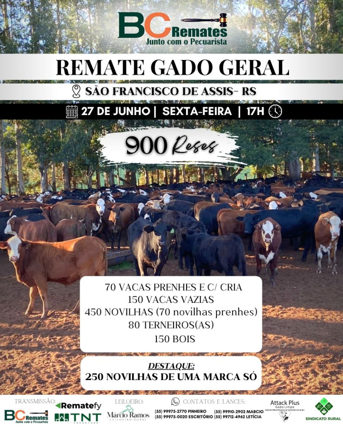 Remate Gado Geral