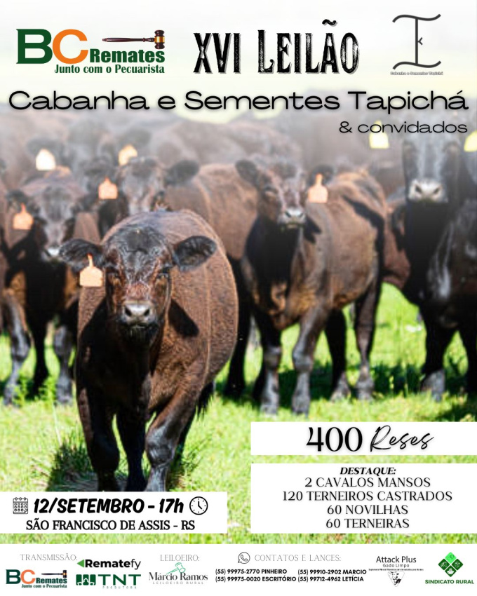 XVI Leilão Cabanha e Sementes Tapicha