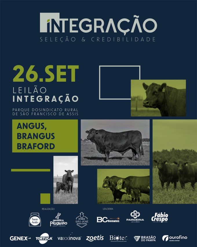 Leilão Integração