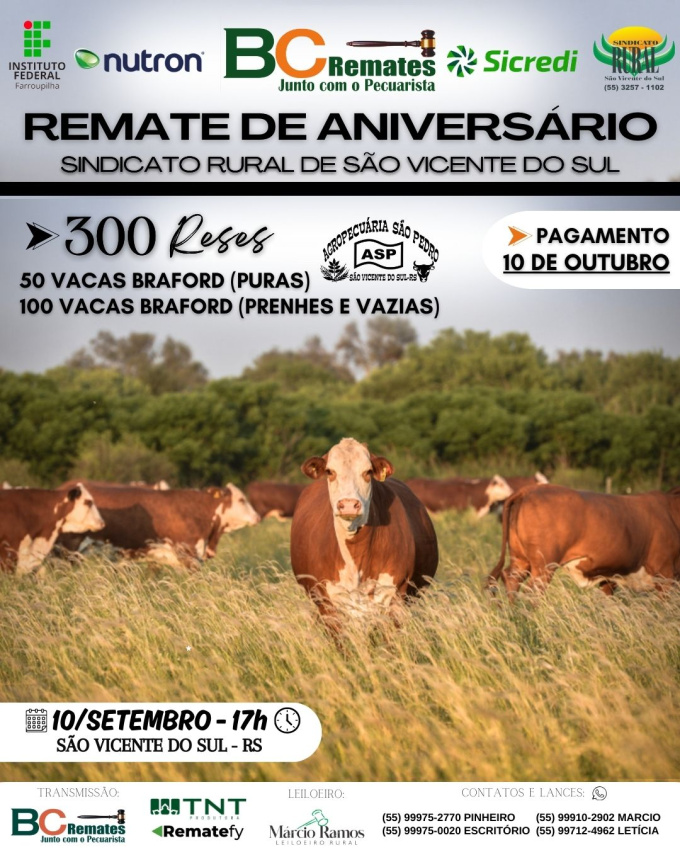 Remate de Aniversário