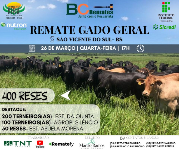 Remate Gado Geral