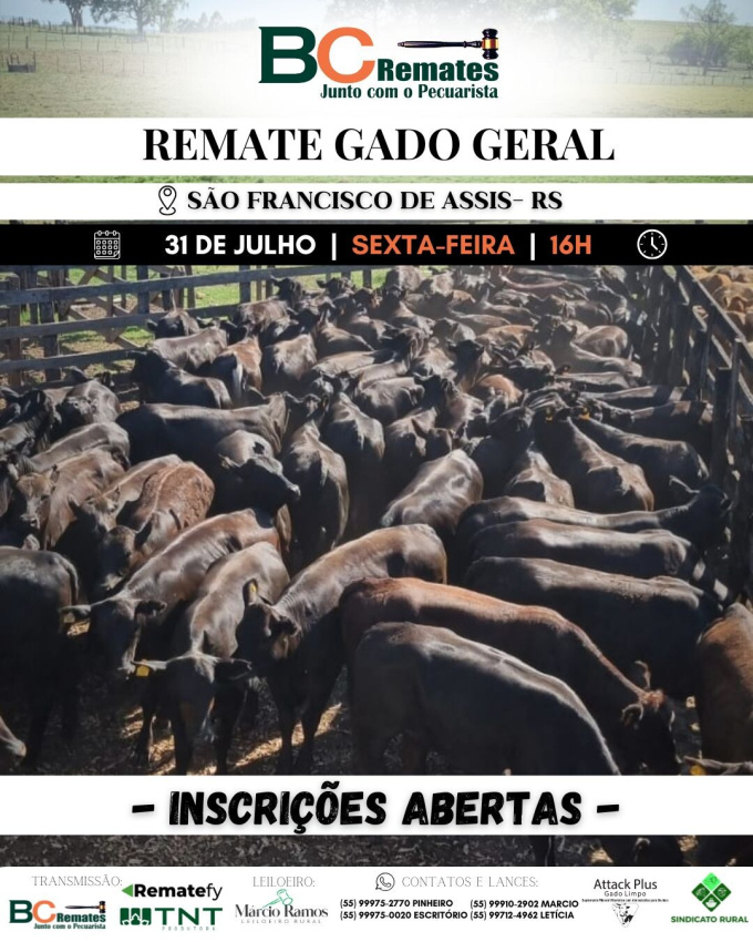 Remate Gado Geral