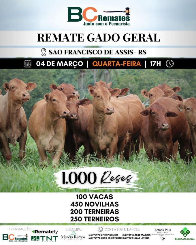 Remate Gado Geral